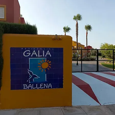 Galia Ballena, Costa Ballena-carlos